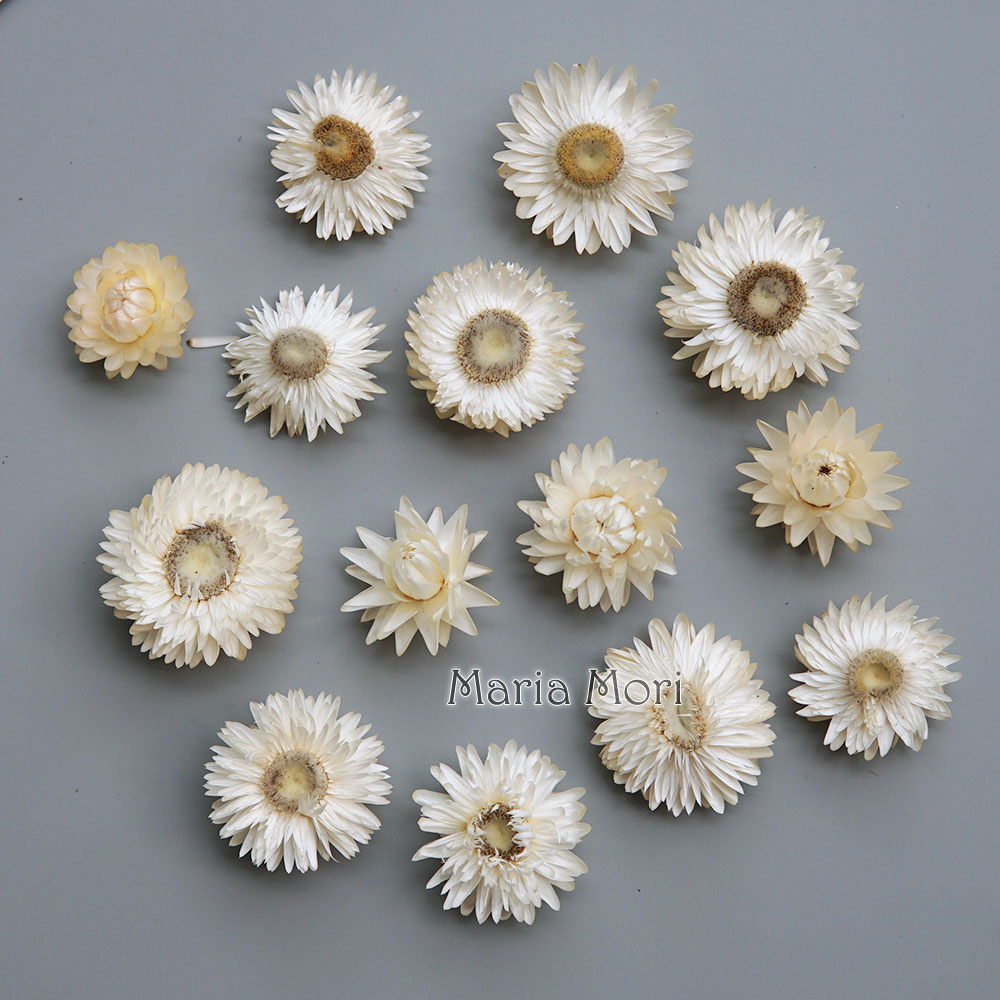 Candle Making Products - Natural Dried Colorful Chrysanthemum Wreath Handmade