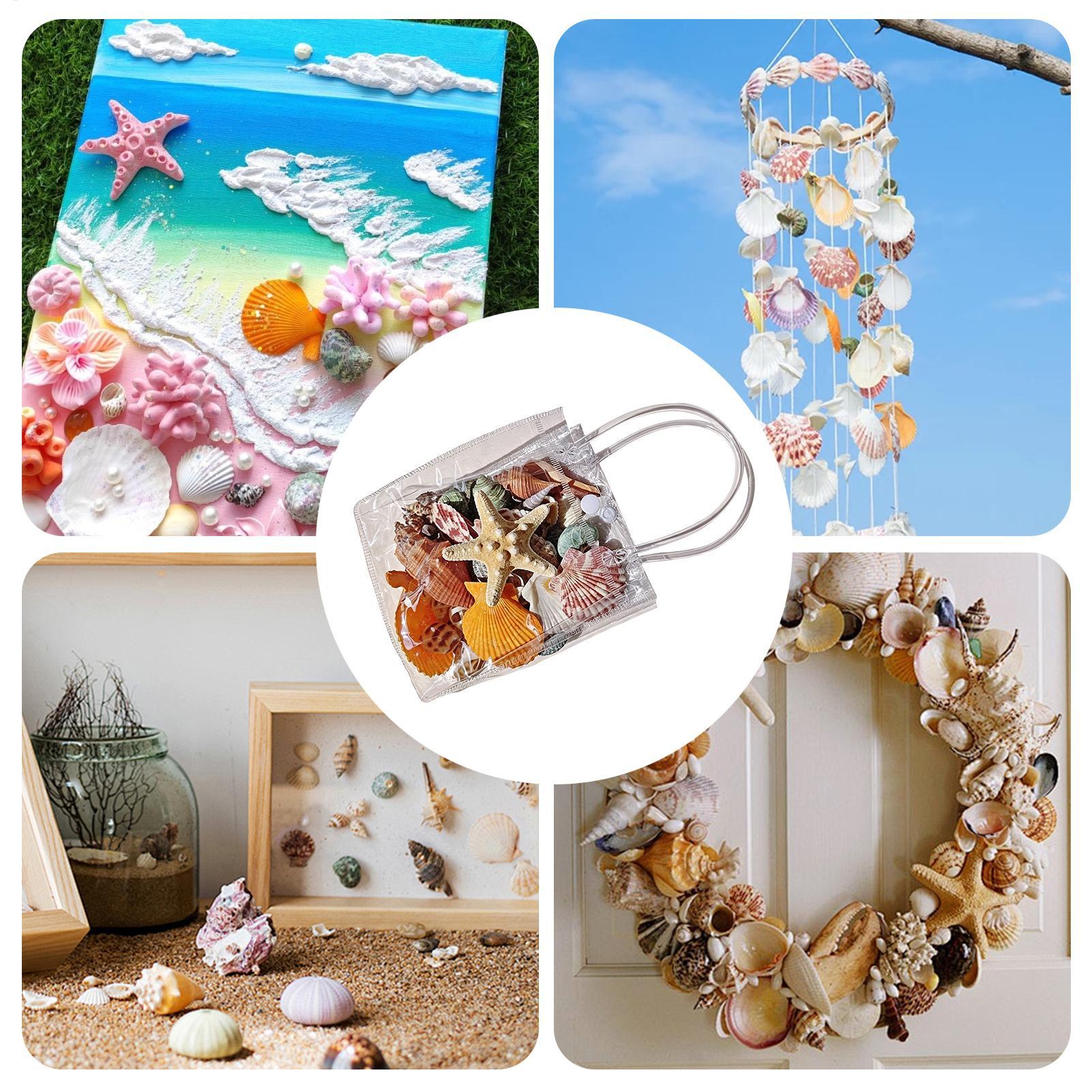 Tiny Seashells For Crafts Natu - Candle Making For Kids ulasan dan harga