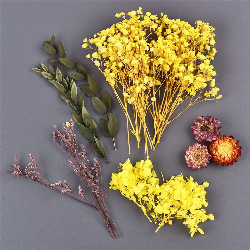 Dried Flowers UV Resin Flowers - Candle Making Kit For Kids ulasan dan harga