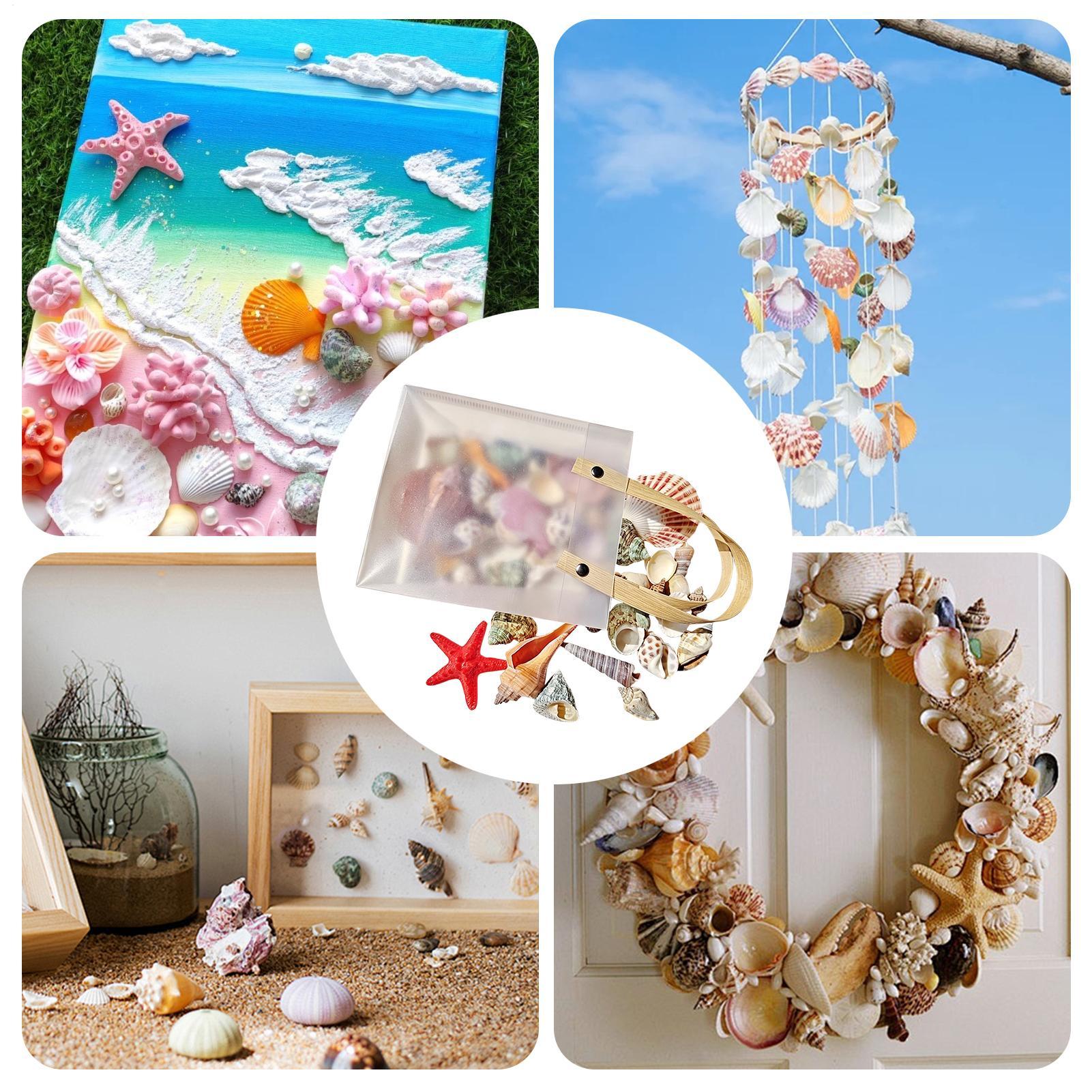 Tiny Shells Natural Sea Theme  - Candle Making For Kids ulasan dan harga