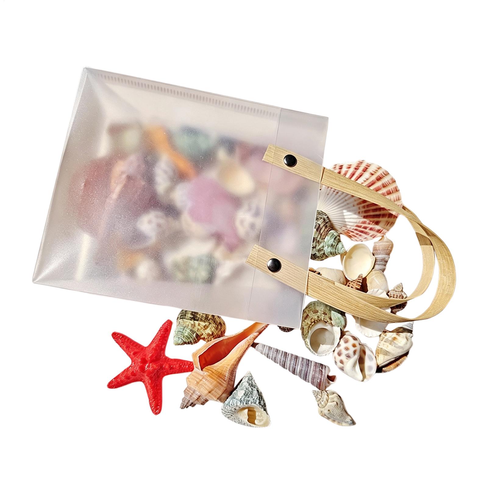Tiny Seashells for Crafts Natu - Candle Making For Kids ulasan dan harga