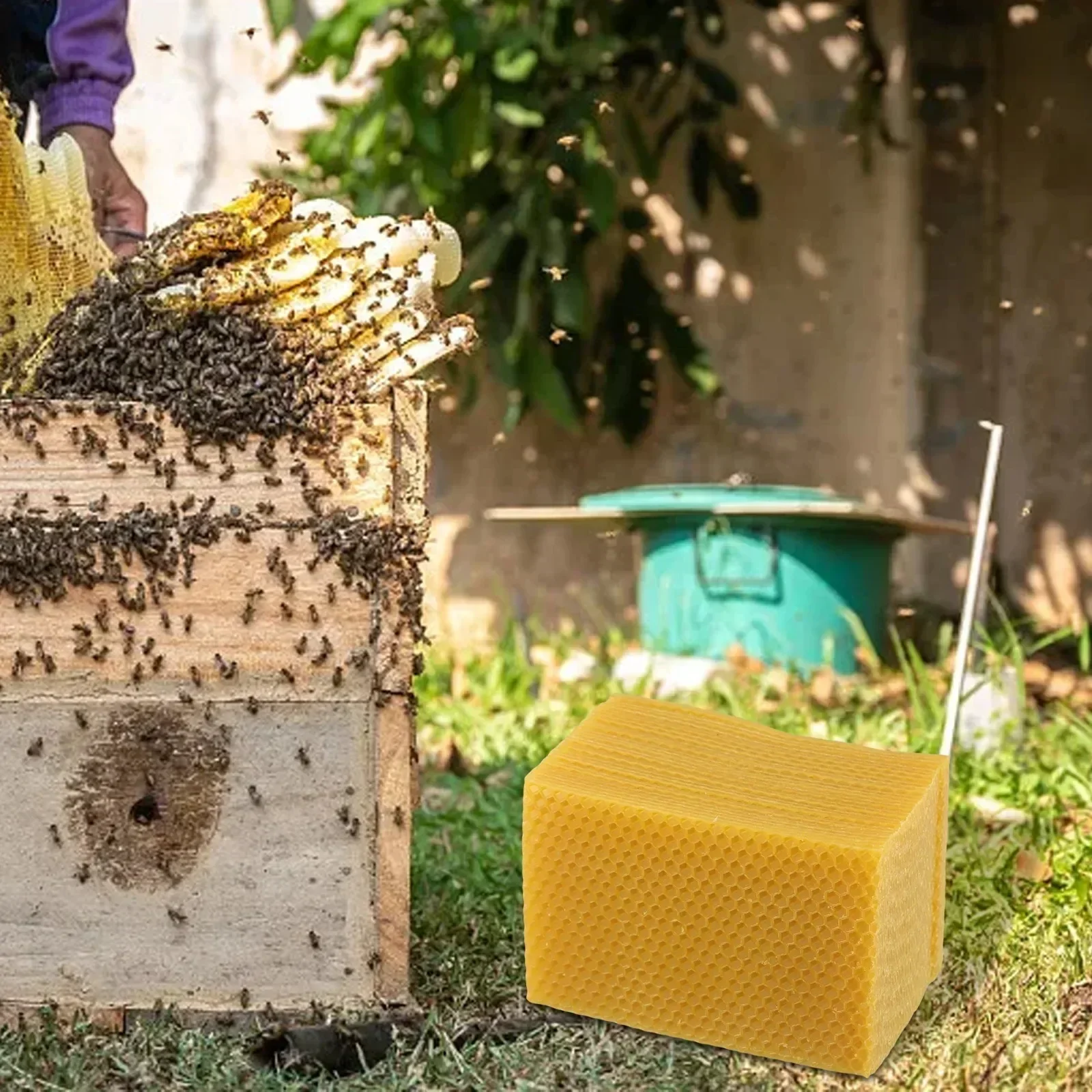 Beehive Supplies Beehive Found - Candle Making Kit Beeswax ulasan dan harga
