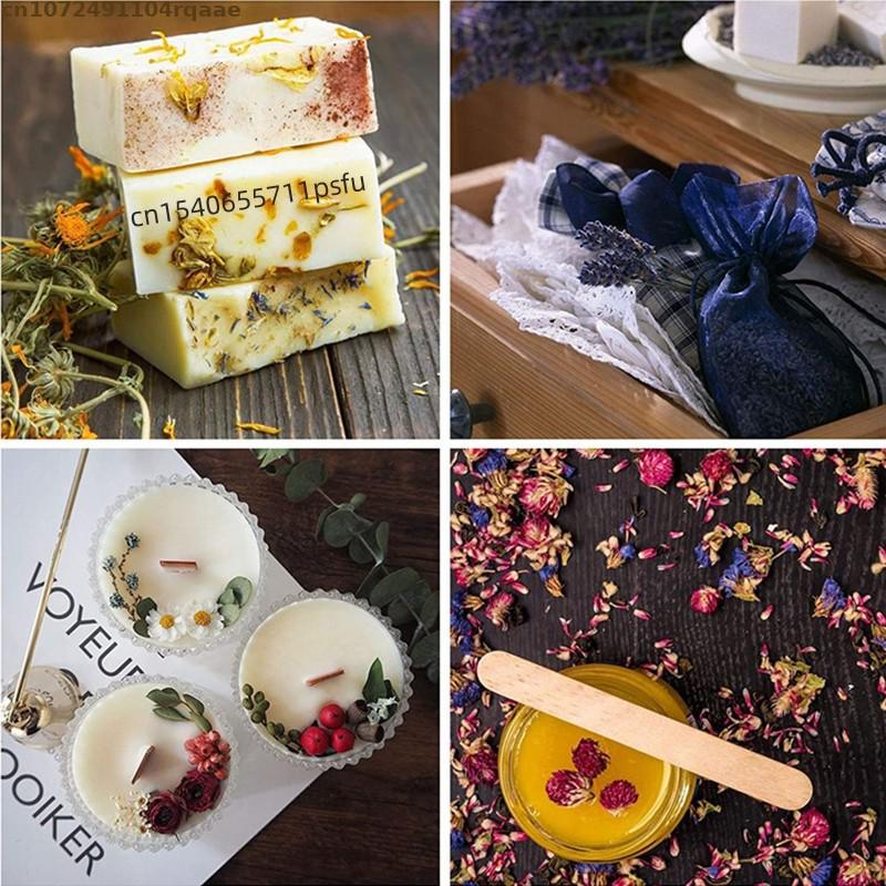 Top Natural Dried Forget Me No - Candle Making Raw Material ulasan dan harga
