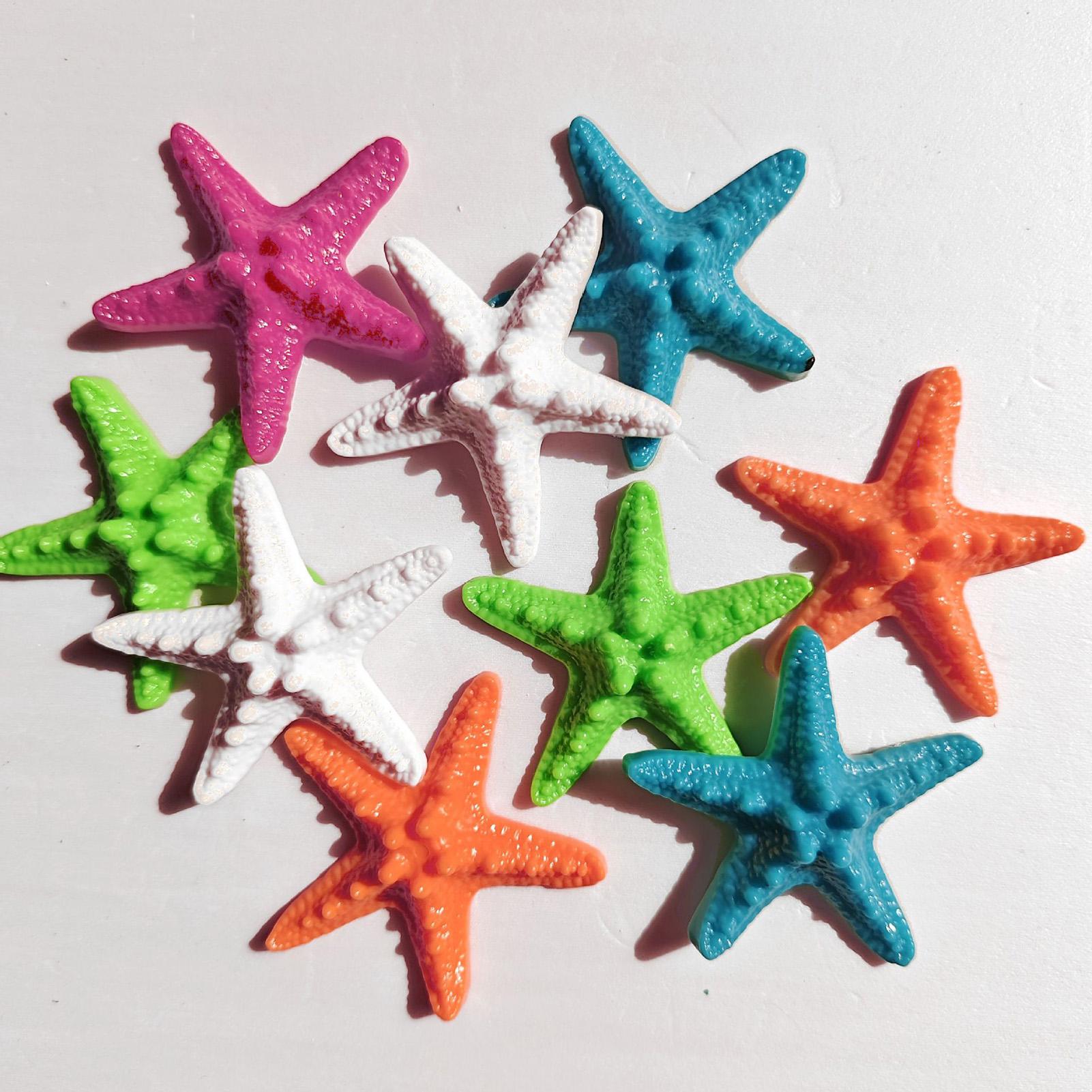 Tiny Seashells Natural Sea The - Candle Making For Kids ulasan dan harga