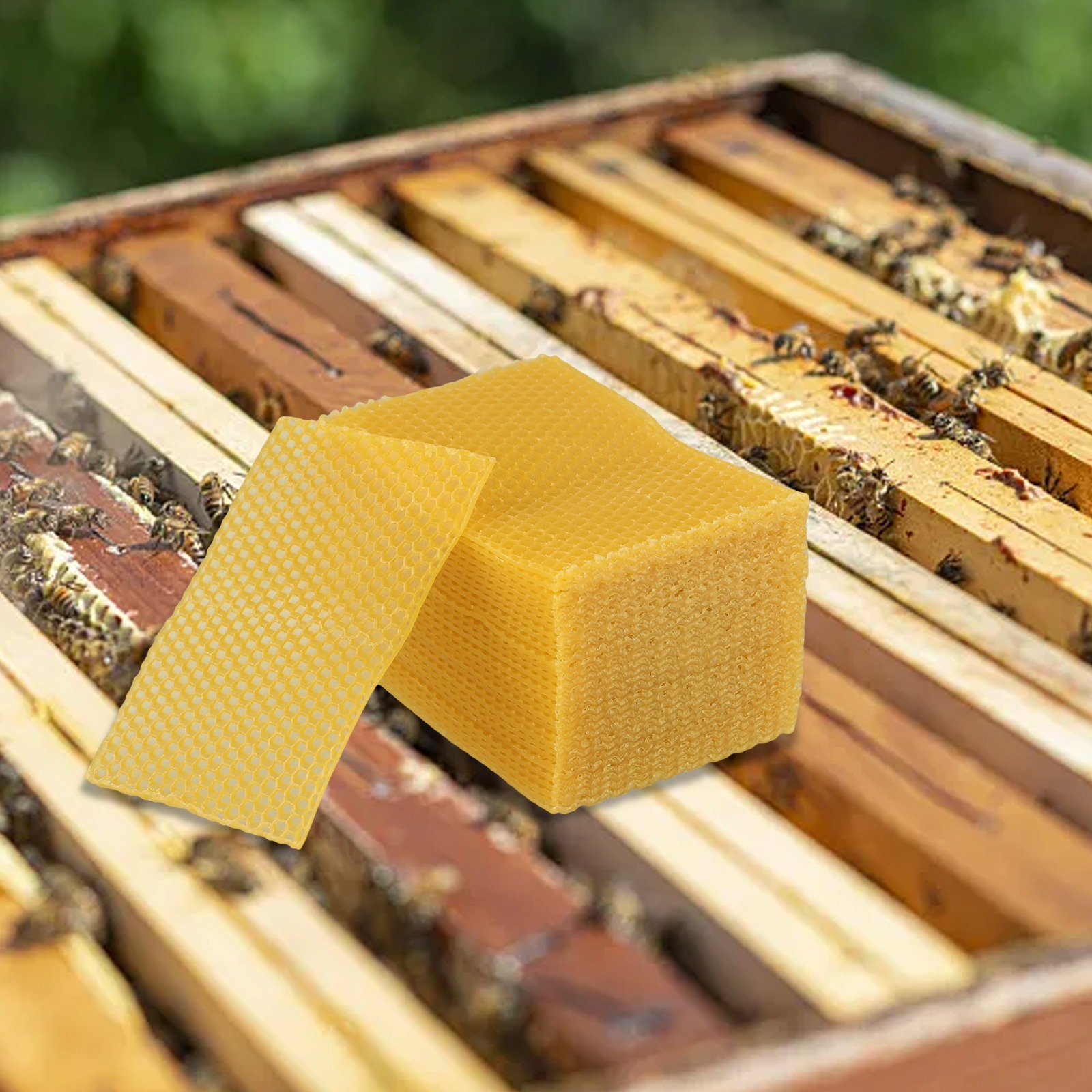 5.24 X 3.54 Beehive Foundation - Candle Making Kit Beeswax ulasan dan harga